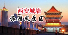 大鸡巴日小逼内射全免费观看视频中国陕西-西安城墙旅游风景区